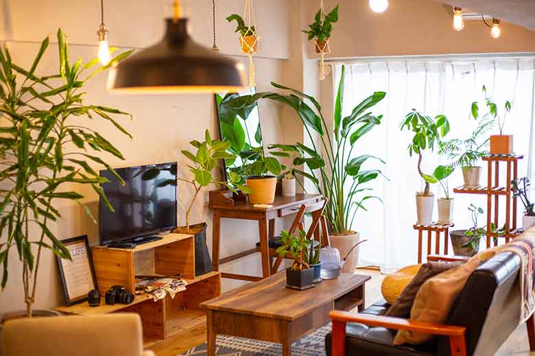 本物の観葉植物がたくさんあり、生命感溢れるハウススタジオです