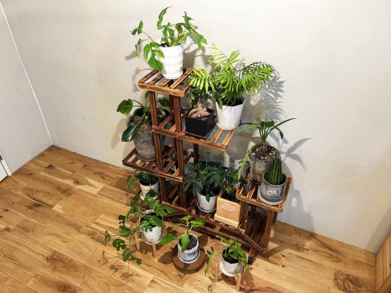 観葉植物ラック